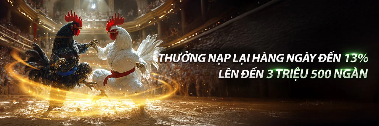Usbet Đăng Nhập Đá Gà - Trận đấu chọi gà kịch tính
